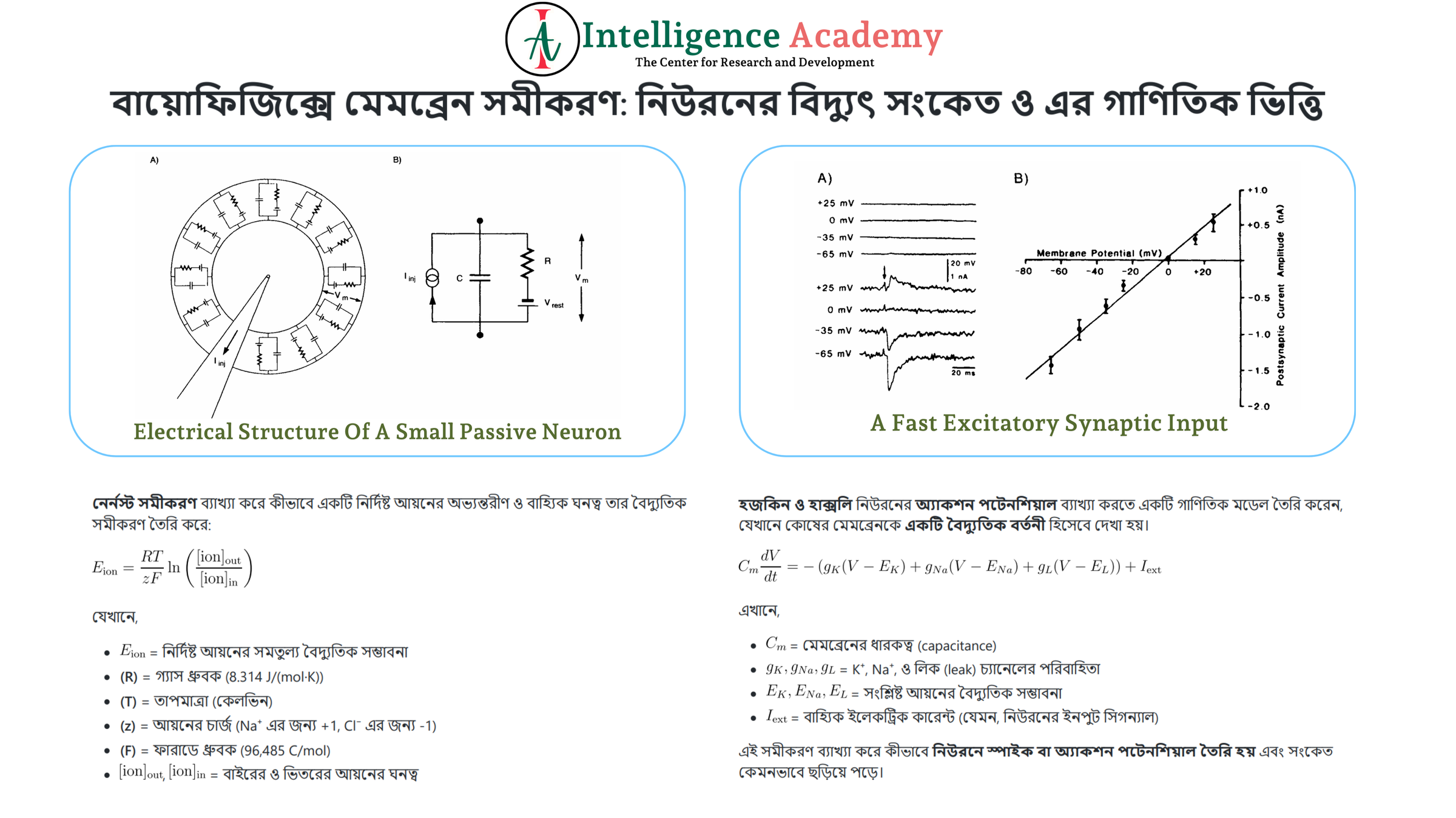 বায়োফিজিক্সে মেমব্রেন সমীকরণ: নিউরনের বিদ্যুৎ সংকেত ও এর গাণিতিক ভিত্তি